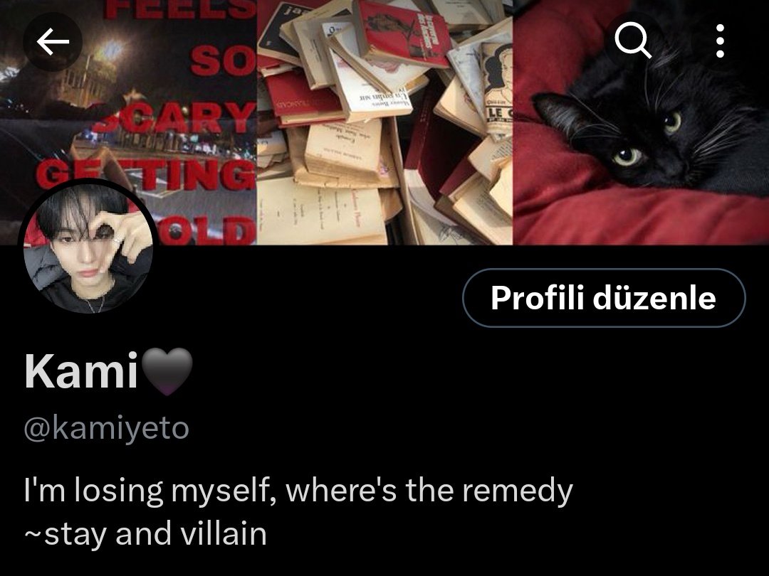 Birtakım duzelme cabalari