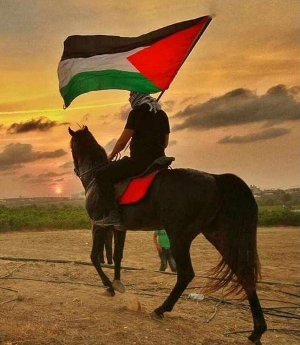 Realmabid55's tweet photo. Free Palestine From the river to the sea, Palestine will be free🇵🇸
#Palestine_Genocide https://t.co/MqcA1OOYW7