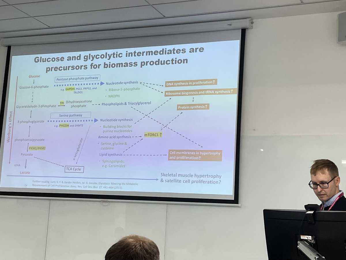 Marta Murgia (@martamurgia) on Twitter photo Great presentation by Juha Hulmi ā¦<a href="/JYUBiolPA/">Biology of Physical Activity</a>ā© at #physiology2024 satellite meeting. Rewiring glucose metabolism. Explaining why glycolysis is so important for muscle size. Great presentation by Juha Hulmi ā¦<a href="/JYUBiolPA/">Biology of Physical Activity</a>ā© at #physiology2024 satellite meeting. Rewiring glucose metabolism. Explaining why glycolysis is so important for muscle size.
