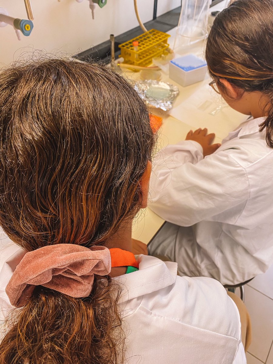 BicItqb's tweet photo. Sun and Science @BicItqb and @itqbnova βοΈ π§¬
Painting with fluorescent bacteria and exploring the microbiology world under the microscope!
#scienceforkids #bacterialimaging #microscopy #sunandscience https://t.co/VK78qqS6H3