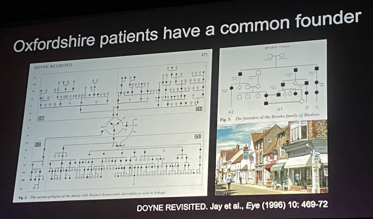 Prof Robert MacLaren giving the 107th Doyne lecture at the OOC today. ⁦<a href="/OOCongress/">OOC</a>⁩ ⁦<a href="/UniofOxford/">University of Oxford</a>⁩ #retinalgenetherapy