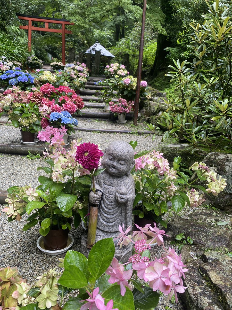 42x6SHhhviUkpLd's tweet photo. บันไดและลำธารก็มีไฮด์เดรนเยียเยอะ🥹💐
สวยมากๆเหมือนกับอนิเมและหนัง🥹🥹⛩
#นารา #Asuka #วัด #Okadera #ไฮเดรนเยีย #เที่ยวคนเดียว #เที่ยวญี่ปุ่น https://t.co/lDXMNa2IRK