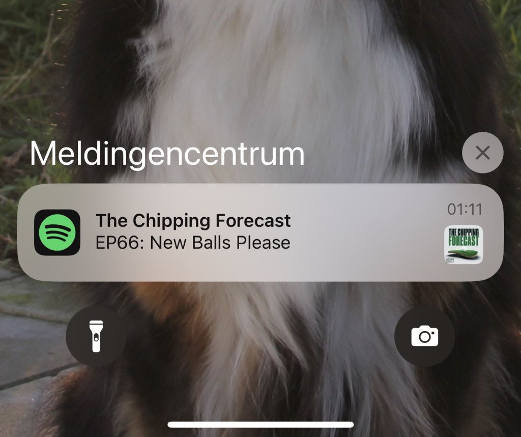 Lovely to wake up with this notification <a href="/iaincartergolf/">Iain Carter</a> <a href="/PepperellEddie/">Eddie Pepperell</a> best (golf) #podcast ever! #eddiepepperell #thechippingforecast