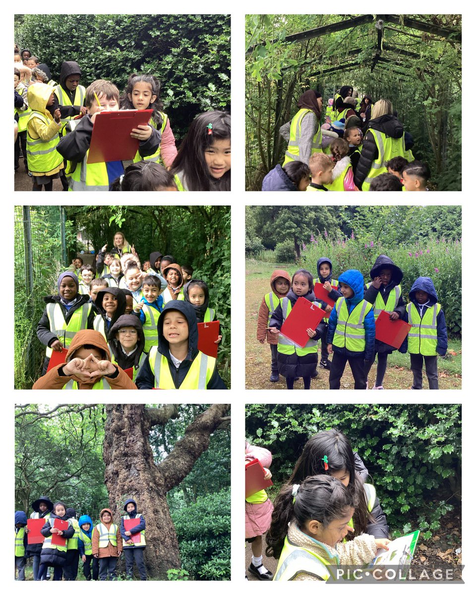KensingPrimary's tweet image. Year 1 had SO much fun in Botanic Park this morning looking for birds and trees as part of our science topic. We had a great time ticking them off our checklist! We didn’t let the rain stop us having a good time😎 #1SB #1O #1AB