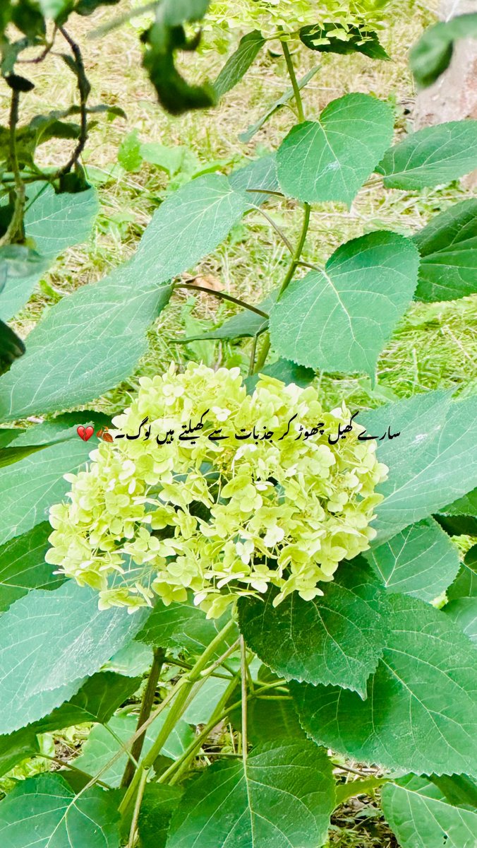 Patrick Lawson tweet media