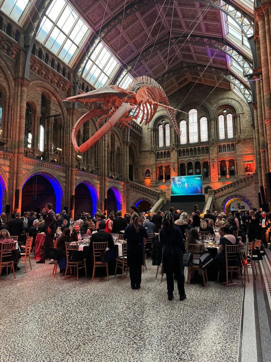 Cognitant tweet media