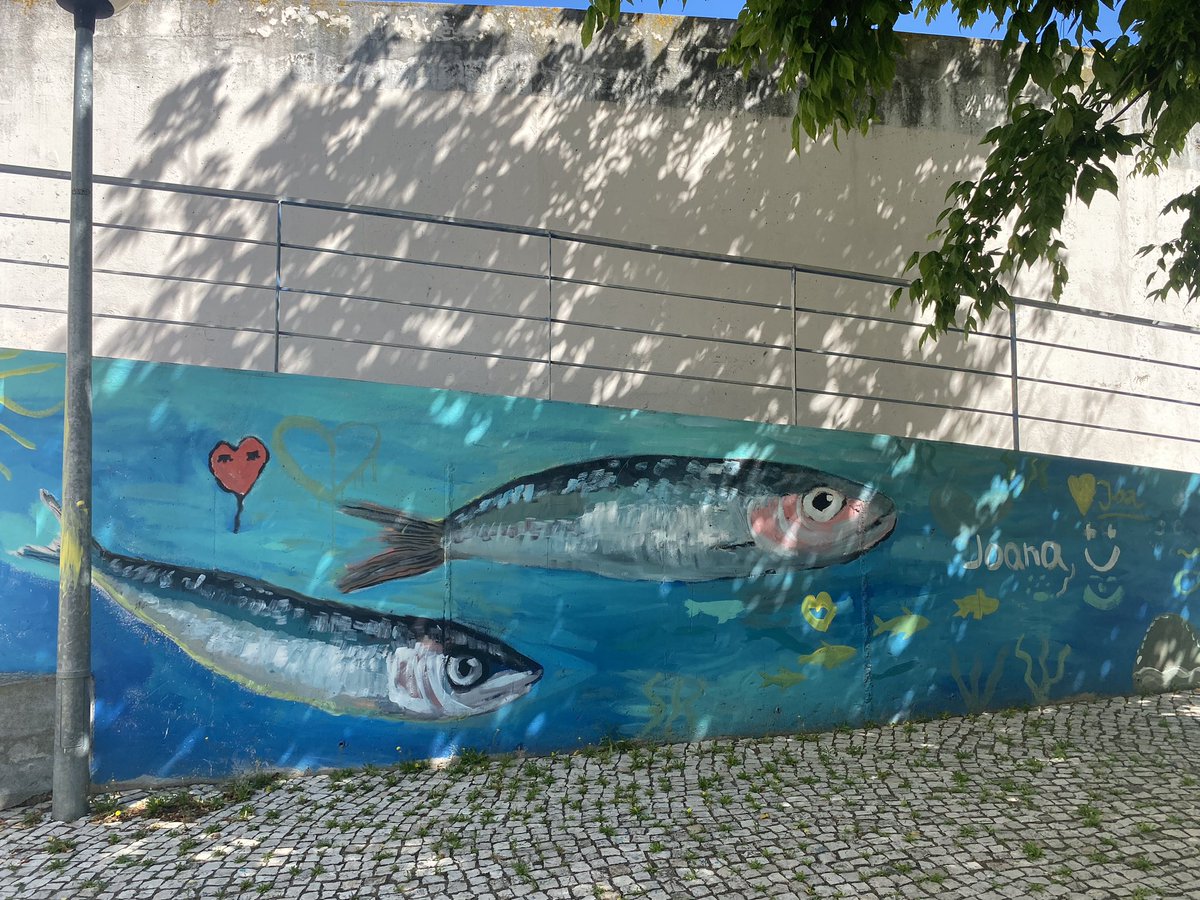 Nicola Chanamuto tweet media