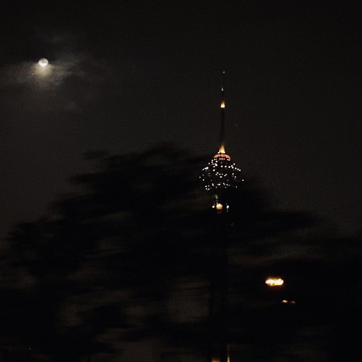 ♥️MITRA♥️ tweet media