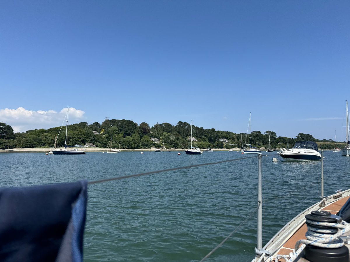 Talan Skeels-Piggins PLY tweet media