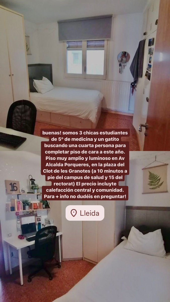mariammjab's tweet photo. Buscamos una compañera de piso para el curso 2023/2024. 
#queydondeestudiar #pisolleida #udl
#queydondeestudiar2024 https://t.co/m7uHBus42i