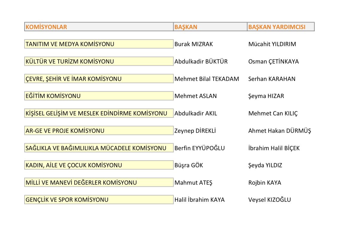 Gençlik Meclisimiz bünyesinde yer alan komisyonlarda komisyon başkanları ve başkan yardımcıları komisyon üyeleri tarafından seçilerek belirlenmiştir. Herkesin aktif olarak görev aldığı meclisimizi hep birlikte yöneterek şanlı şehrimizin gençliği için var gücümüzle çalışamaya