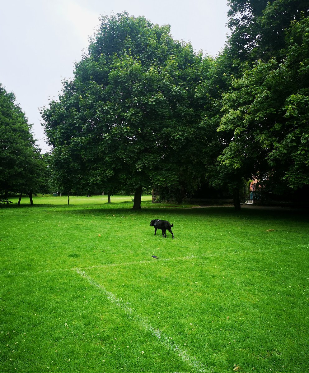 Back with my best dog friend #leith #edinburgh