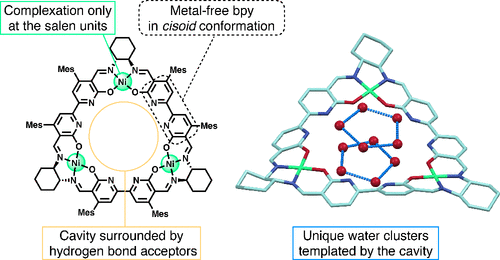 Ken Lo (@bhkenlo) on Twitter photo Formation of a Metallomacrocycle Possessing Nitrogen Donors Assembled in the Cavity and Unique Water Clusters | Inorganic Chemistry pubs.acs.org/doi/10.1021/ac… Nakamura, Nabeshima, and co-workers <a href="/InorgChem/">Inorganic Chemistry</a> #nickel #bpy #H_bonds #metallomacrocycle #cisoid #pentagonal_prism #water Formation of a Metallomacrocycle Possessing Nitrogen Donors Assembled in the Cavity and Unique Water Clusters | Inorganic Chemistry pubs.acs.org/doi/10.1021/ac… Nakamura, Nabeshima, and co-workers <a href="/InorgChem/">Inorganic Chemistry</a> #nickel #bpy #H_bonds #metallomacrocycle #cisoid #pentagonal_prism #water
