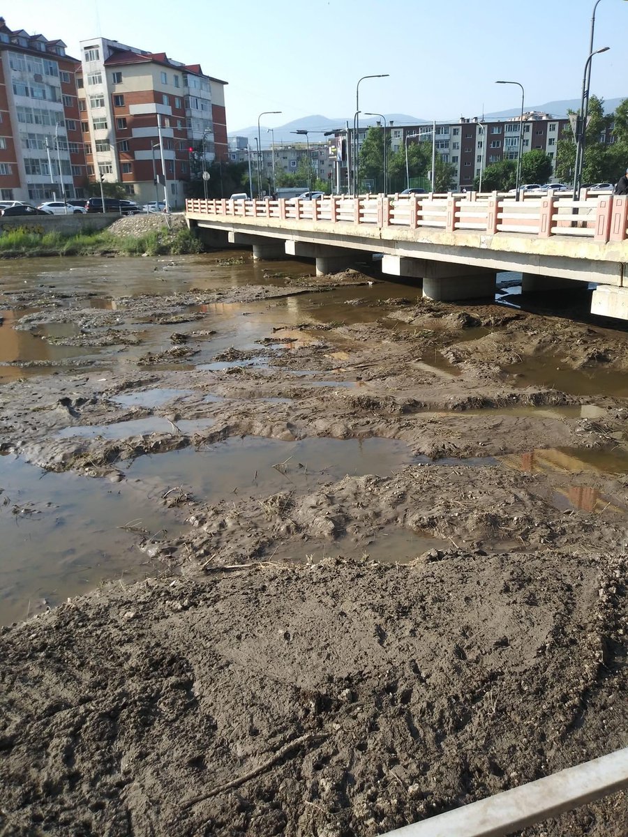 Гонгоржавын ГАНБАТ 🧢 tweet media