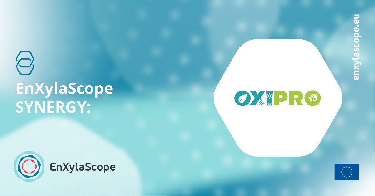 🔎 Meet <a href="/OXIPRO_EU/">Oxipro</a>!
Pioneering eco-friendly solutions with advanced #oxidoreductases! 💡

From greener #detergents to sustainable #textiles and #cosmetics, learn how they improve product #quality and sustainability.

Know more 👇
oxipro.eu

<a href="/CORDIS_EU/">EU Research Results</a>