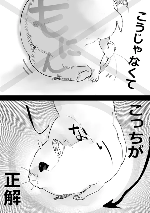 ハムちゃんあの運動神経と手の短さでどう着地してるんだろうなと常々不思議だったけどそういくのか…
そうか… いや転がって衝撃を逃した方が…
いえハムちゃんがそうおっしゃるなら 
