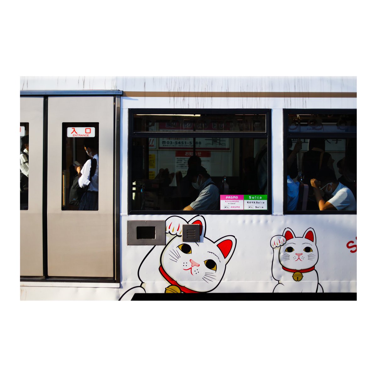 U_Q_railscape's tweet photo. 癒しの路線

#玉電のある風景
#railscape
#世田谷線 https://t.co/nW15h8iMXH