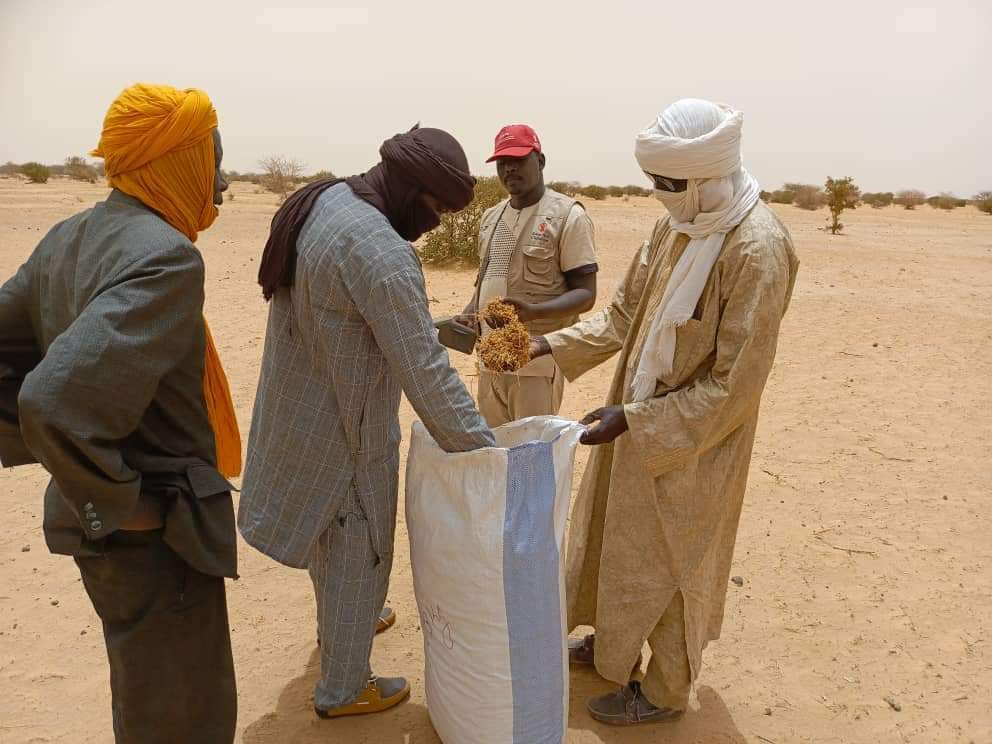 rbm_maroobe's tweet photo. Dans le cadre de la mise en œuvre des activites du volet sécurité alimentaire et moyens d'existence du projet #Albarka, l'équipe SAME a procédé au lancement de l'ensemencement du cram cram sur les espaces pastoraux au niveau des villages de kareibandja et Hamakouladji au Mali https://t.co/LcsLbbCDdo