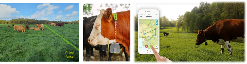 How do innovative PG management options affect grass production and the delivery of non-provisioning ecosystem services? Find out here: ow.ly/wAwC50Sp2j4