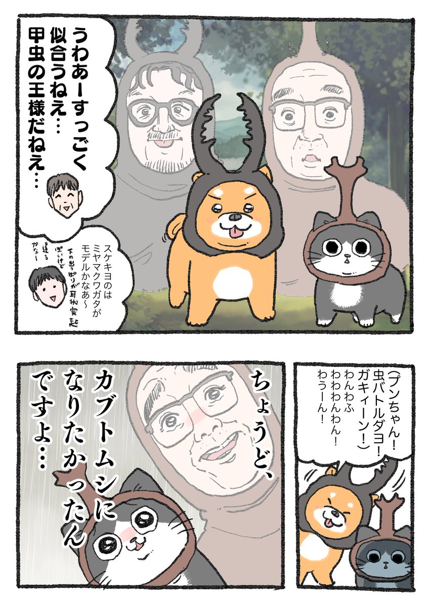 ねこに転生したおじさん。その495