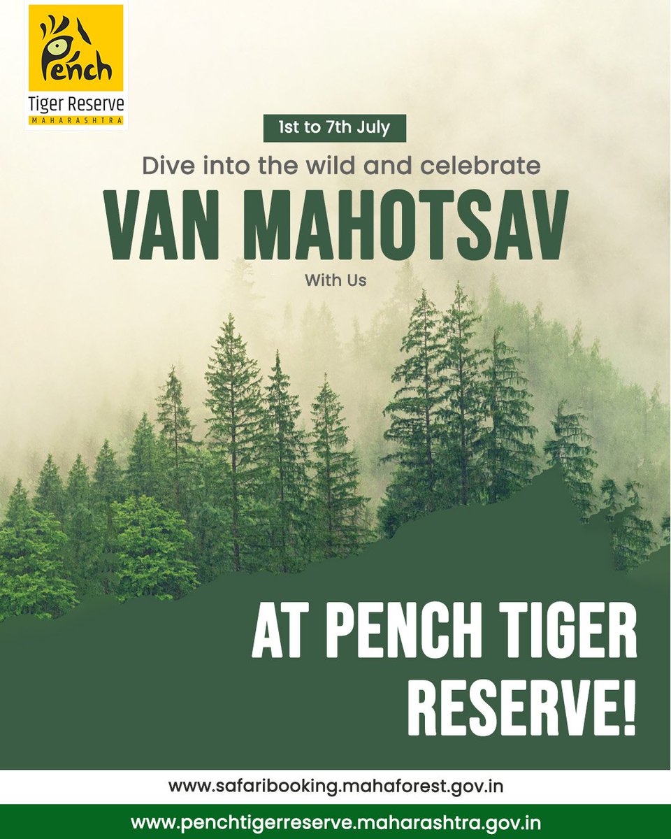 MahaPenchTiger's tweet photo. Dive Into The Wild And Celebrate Van Mahotsav With Us.
.
.
For More Info:
๐ https://t.co/491WvnTUUa
or
๐ 7122811921
.
.
#PenchTigerReserve #VanMahotsav #1stjulyto7thjuly #Mahotsav #Van #TemporaryClose #julytoseptember
#Pench #Surewani #Khubala #Kolitmara #Sillari #Khursapar https://t.co/jdO2ci1JjX