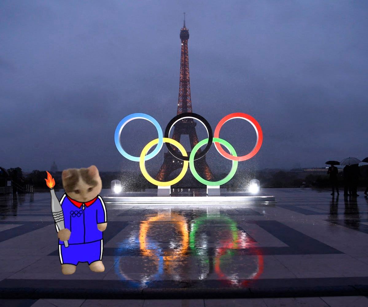 franceCoinSol's tweet image. gmichi