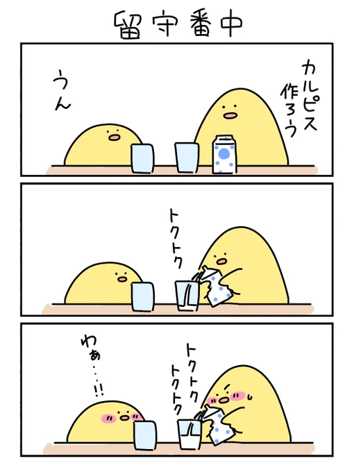 カルピスシーズンがスタート 