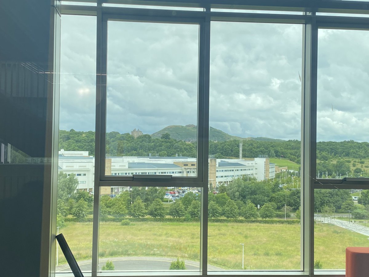 New job building induction. Not bad view