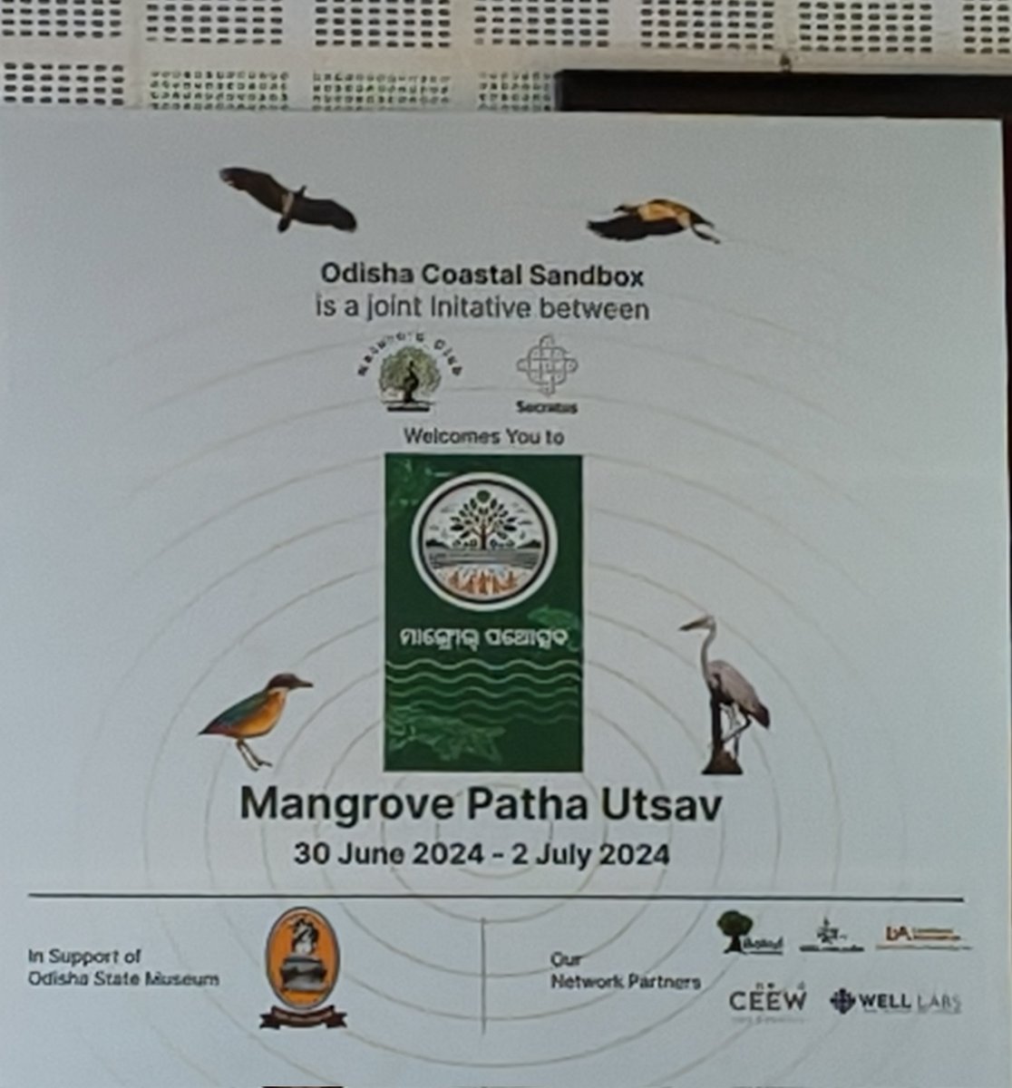 SatpathyLive's tweet image. Very informative Mangrove (hental bana) discussion in progress now at Orissa State Museum Conference Hall, Bhubaneswar with @visualthinkin (from Goa) speaking very succinctly