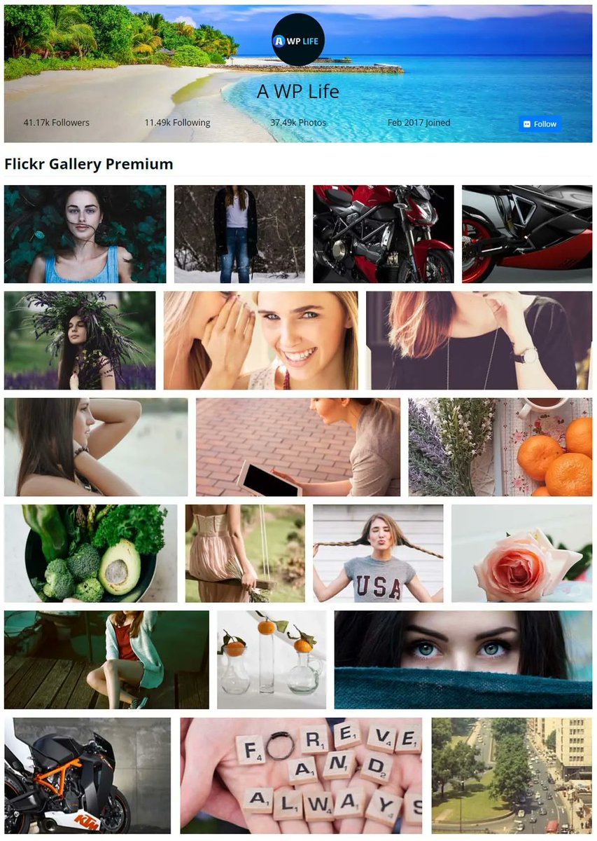 srkkhn007's tweet photo. Turn your Flickr photos into a captivating gallery on your website! Flickr Gallery Premium for seamless integration with WordPress.
Level up your game!!
https://t.co/aef5RPTtxB
#WordPress #Photography #wesbsite #design https://t.co/df0nxlW2eQ
