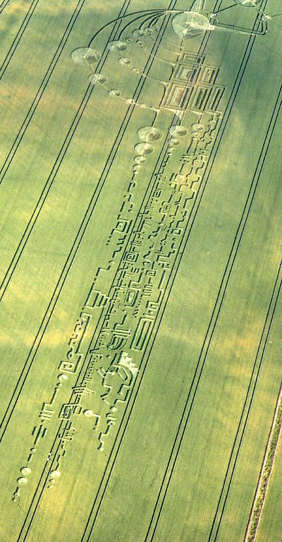 Still thinking it's made by the locals?