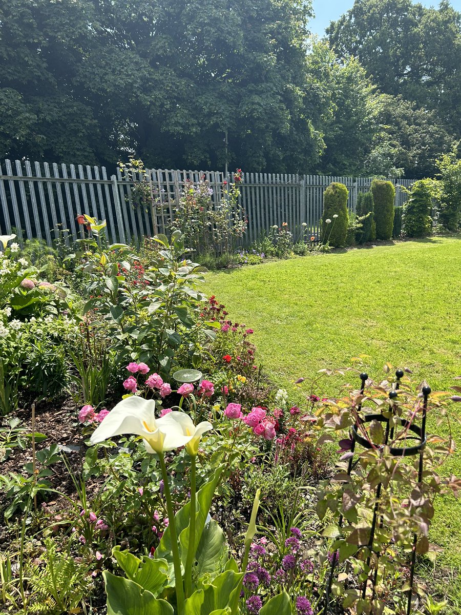 Healthwatch Hull tweet media