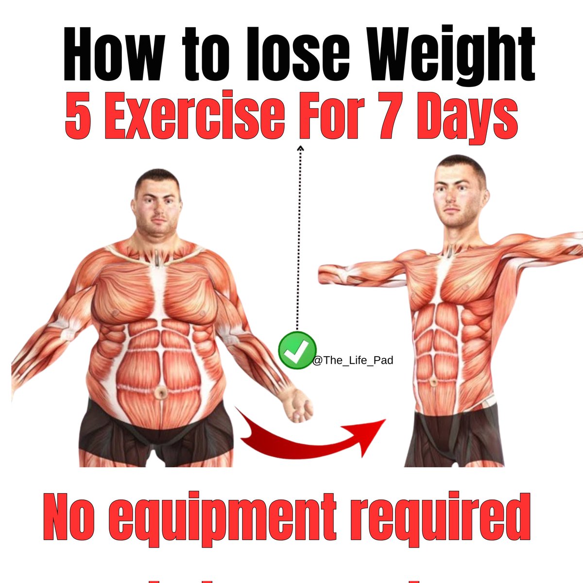 Do this and watch your stubborn fat burn off 

(no gym required):