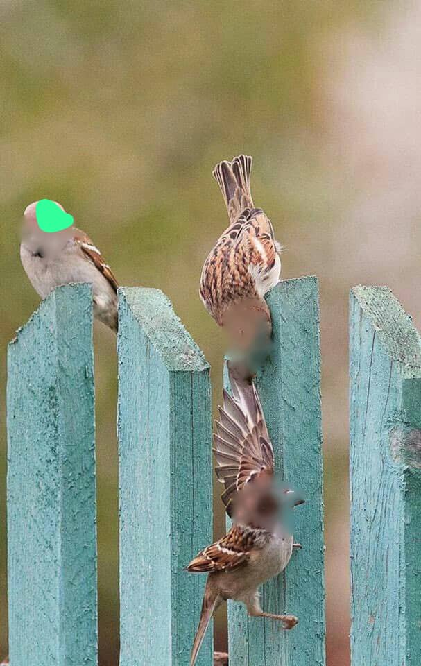 في الأزمــات ستجــد من 
هو حريص على ألا تسقط 
وآخــــــــرون يتـــابعــون 
سقــــوطك وبـصمـــاتـك 
فـــــكــــــــــــــن حـذرن،