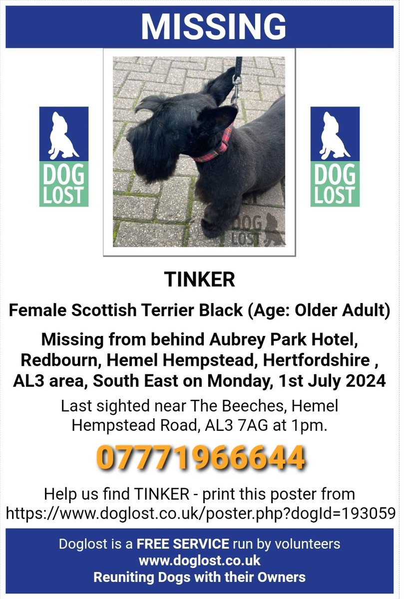 MissingPetsGB's tweet image. 🐕 Beloved TINKER, 9 year old Scottish Terrier, was lost yesterday 1 July 2024 in #Redbourn #HemelHempstead #Hertfordshire #AL3 while on a walk with her dog walker.  Tinker is an older girl, chipped &amp;amp; spayed. Please keep an eye out for her and report any sightings.
