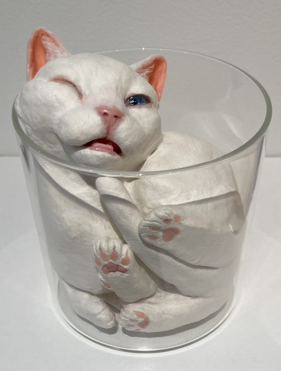 REIJINSHA GALLERYで開催中の猫会議2024。猫を飼ってる作家じゃないと出せない瞬間の顔かなぁ…これじゃ会議に参加できんわなぁ…