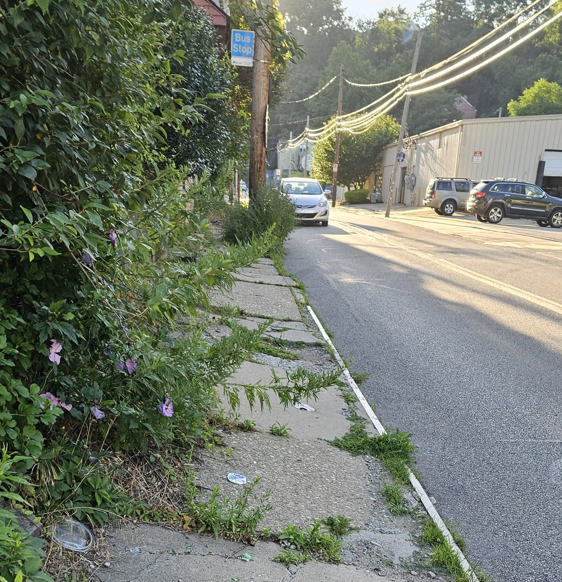 Gemini Moon tweet media