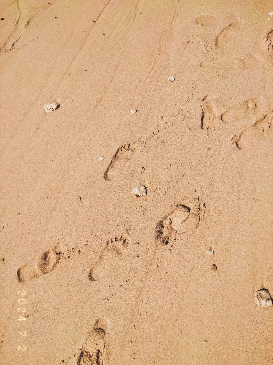 umm0ghey's tweet photo. 🫧🏝️🌊👣🐚🐬🩵 https://t.co/schKHbQQI1