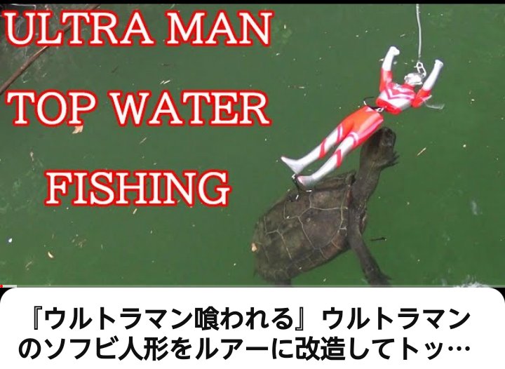 desidesi362's tweet photo. 動画アップしたんでよかったらよかったら😗

https://t.co/zgQ7eiFLml

#ブラックバス #YouTube #出志チューブ #ウルトラマン #ガメラ  #ultraman #fishing #トップウォーター #ダムマニア #バス釣り #ソフビ  #topwater #シリースタイル #gamera #fishingvideo https://t.co/2SyybNvScH