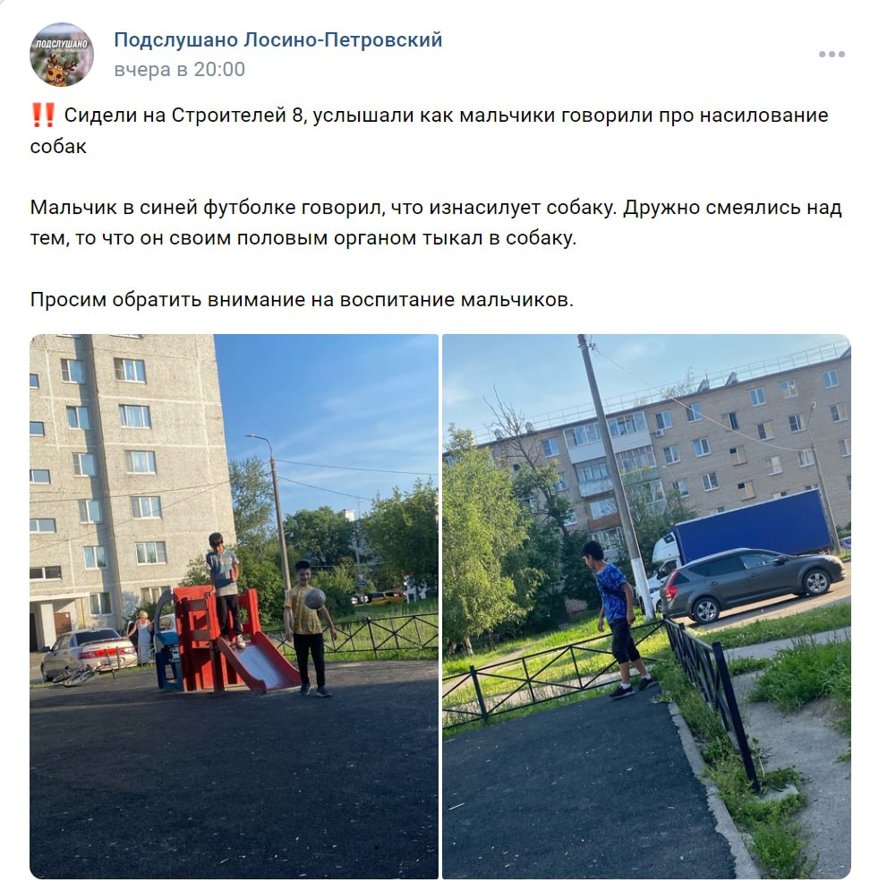 svetlichnajalo5's tweet photo. Ну что же, дети мигрантов просто  приобщаются к "древним, красивым" традициям своих родителей. 
Степашки, к вам вопрос:  нам теперь надо научиться беречь своих собак?
 Мы же толерантные донельзя.
Т.е. до полного безобразия😡😡😡 https://t.co/MoFSIgJNno