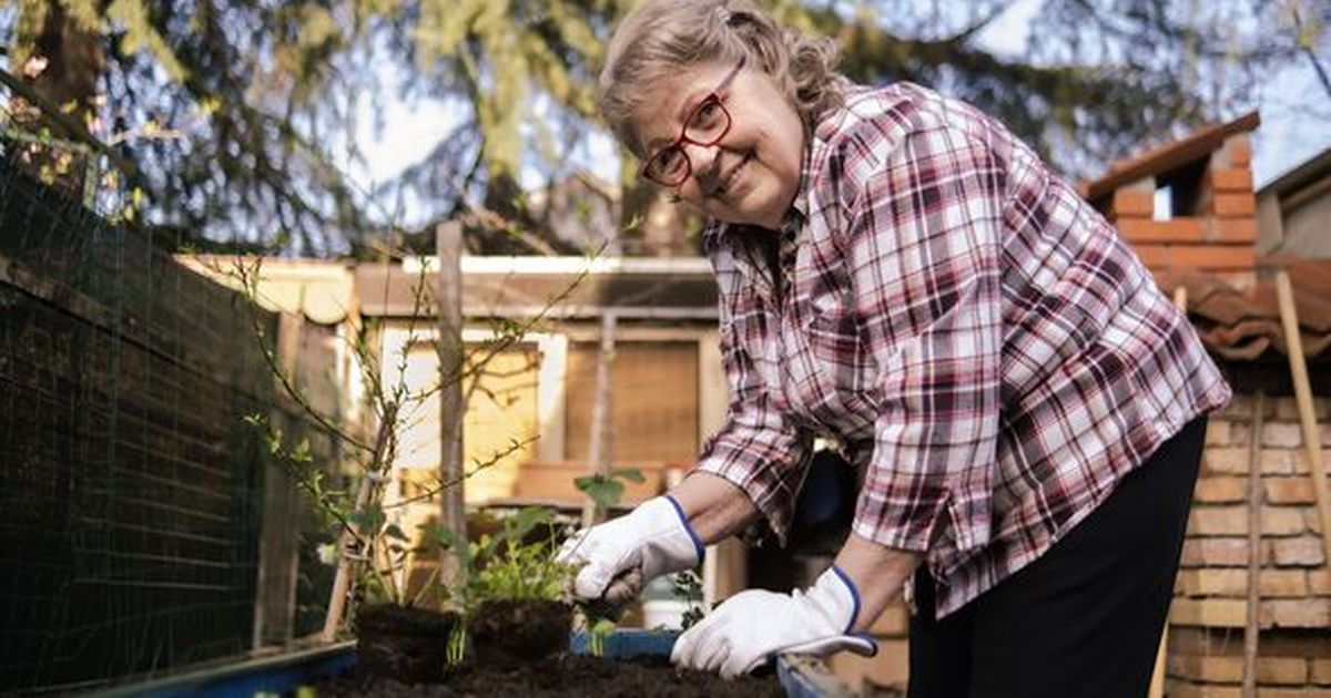 Leicester Updates tweet media