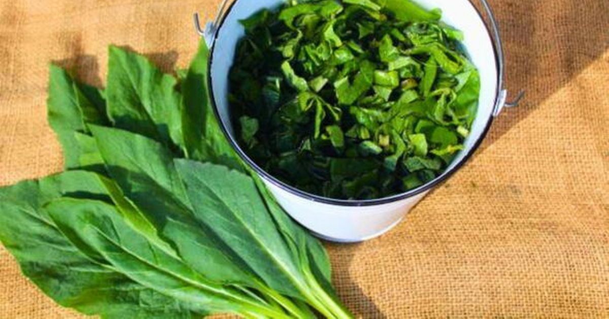 Leicester Updates tweet media