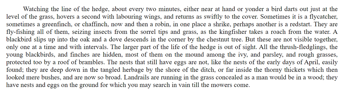 Nostalgia is a dangerous drug, I know, and both ecocritics and nature writers are sometimes guilty of it. But it's hard now to read this account of a hedge by the Victorian writer Richard Jeffries without a sense of loss. (From his essay 'The Pageant of Summer'.)