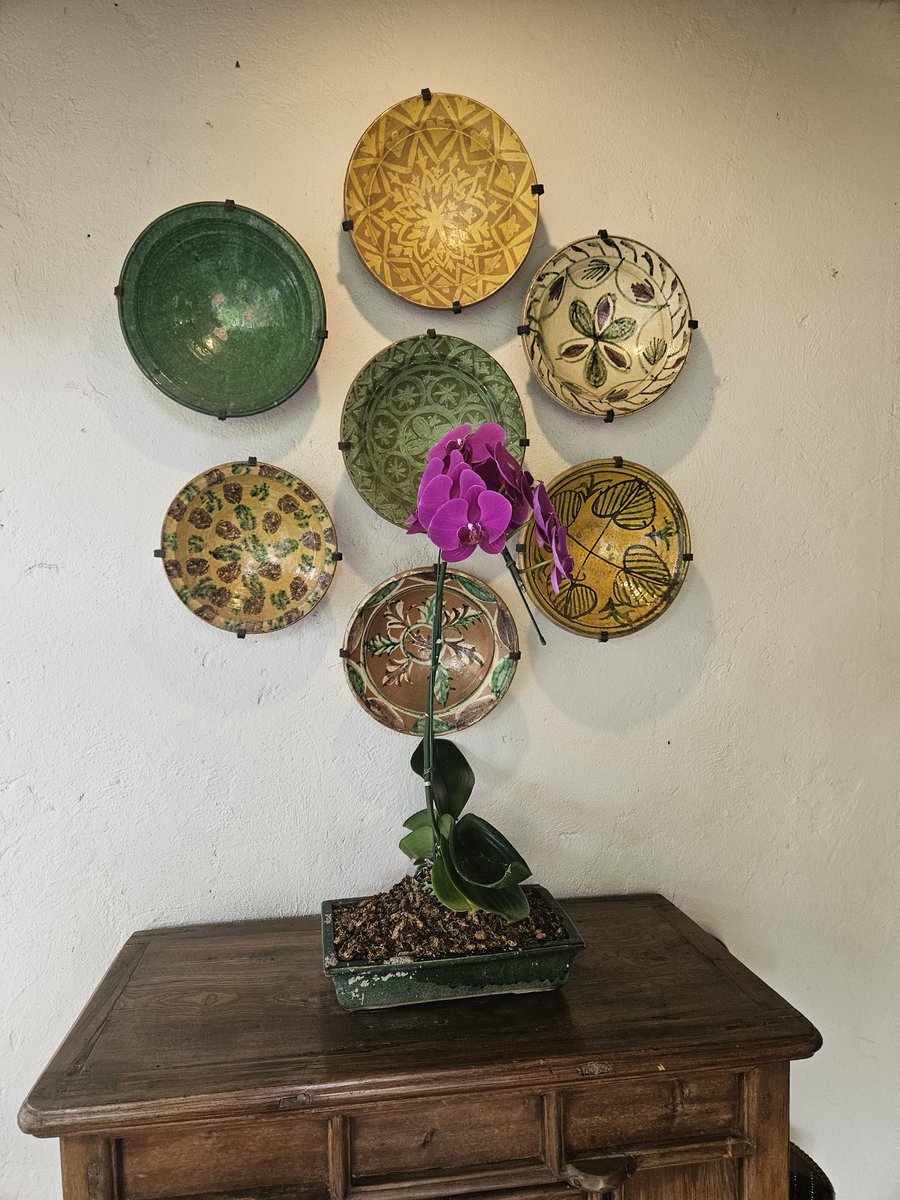 AlodiaOils's tweet image. Lovely spa reception at the Tamarind Village,  beautiful boutique hotel in the heart of Chiangmai.
#alodia #spaproducts #tamarindvillage #chiangmai