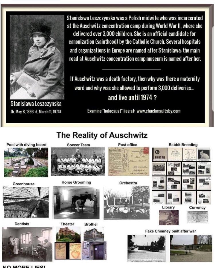 Diarmuid737's tweet image. Hitler’s preferred soln to #JewishQuestion was #Madagascar territorial soln, but he allowed 60,000 Jews to migrate to Palestine via. #HaavaraAgreement

#HistoricalExactitude 
archive.org/details/jews-s…

archive.org/details/Docume…

archive.org/details/the-au…

archive.org/details/hitler…