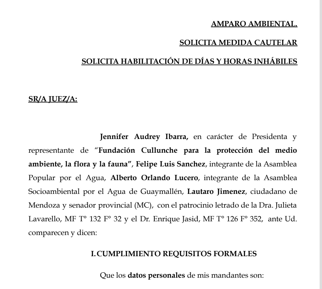 ⚖️Presentamos un recurso de Amparo ambiental junto a <a href="/FundCullunche/">Fundación Cullunche</a> y <a href="/AsambleaporelAg/">Asamblea Popular por el Agua</a> para que la #JusticiaFederal suspenda la venta y traspaso de Áreas maduras de <a href="/YPFoficial/">ypfoficial</a> y <a href="/MendozaGobierno/">Mendoza Gobierno</a> hasta que remedien pasivos ambientales y cierren correctamente los pozos inactivos.