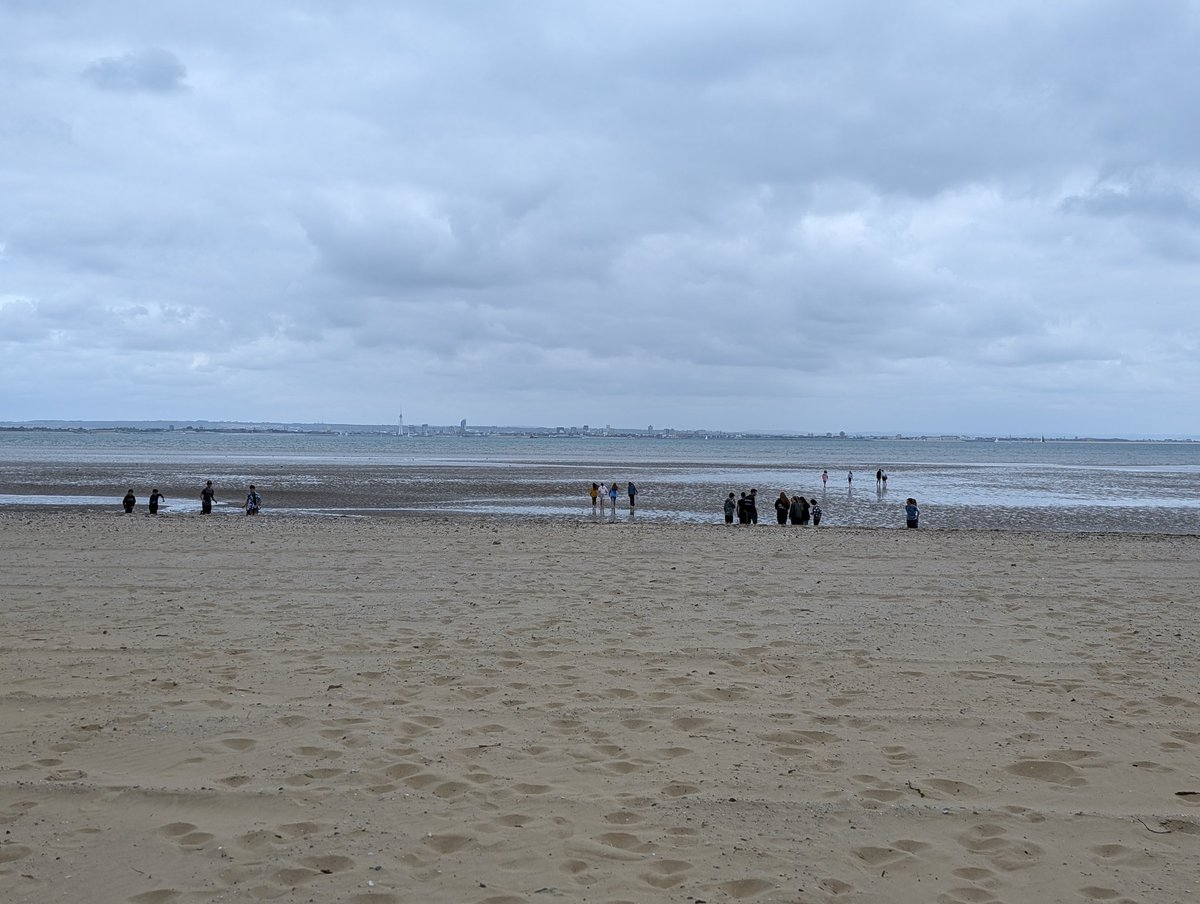 WokingHighMusic tweet media