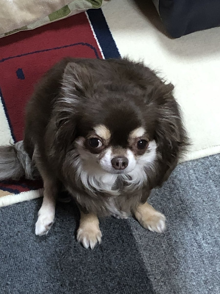 Sumichan、2023年スタート。打倒！コロナウイルス(オミクロン株) tweet media