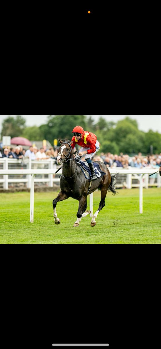 Chelsea_banham_racing (@cbanhamracing) on Twitter photo Where did the time go wee man? ❤️💛
Law of Average winning at <a href="/WindsorRaces/">Windsor Racecourse</a>
<a href="/Haynes_joey/">joey haynes</a>
<a href="/StudGrove/">Norton Grove Stud</a> Where did the time go wee man? ❤️💛
Law of Average winning at <a href="/WindsorRaces/">Windsor Racecourse</a>
<a href="/Haynes_joey/">joey haynes</a>
<a href="/StudGrove/">Norton Grove Stud</a>