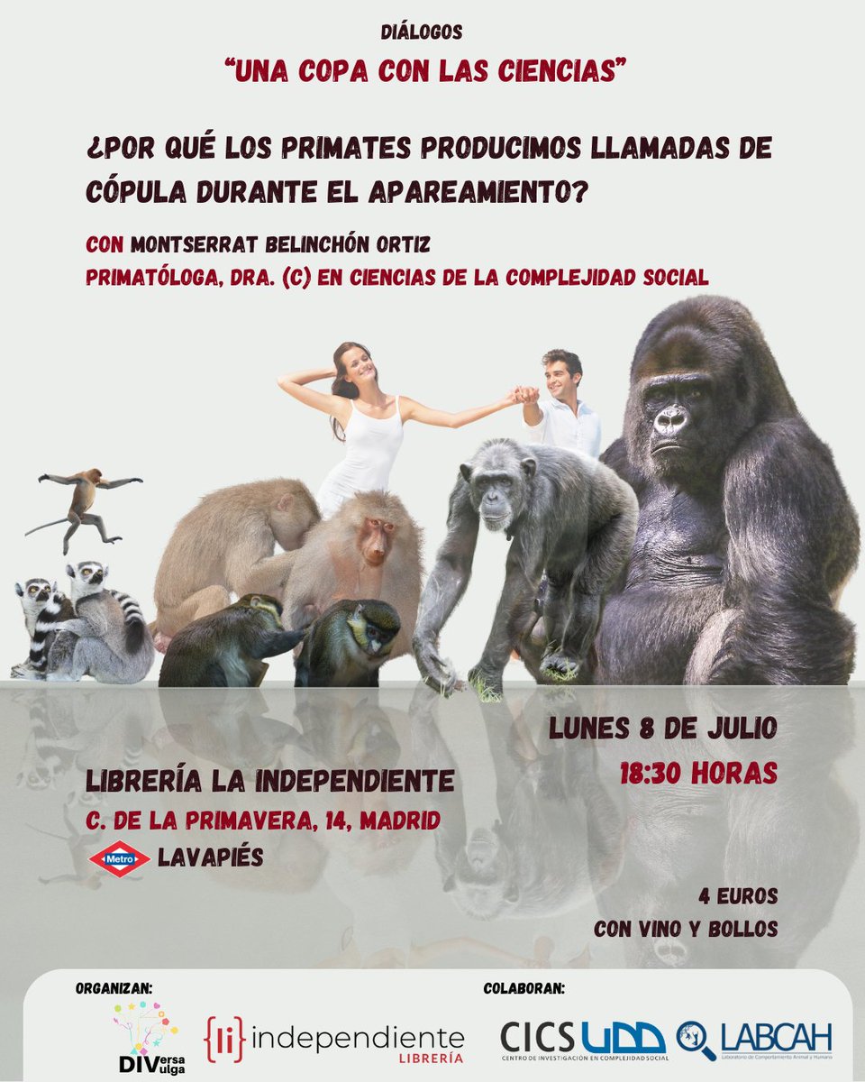 DiversaDivulga tweet media